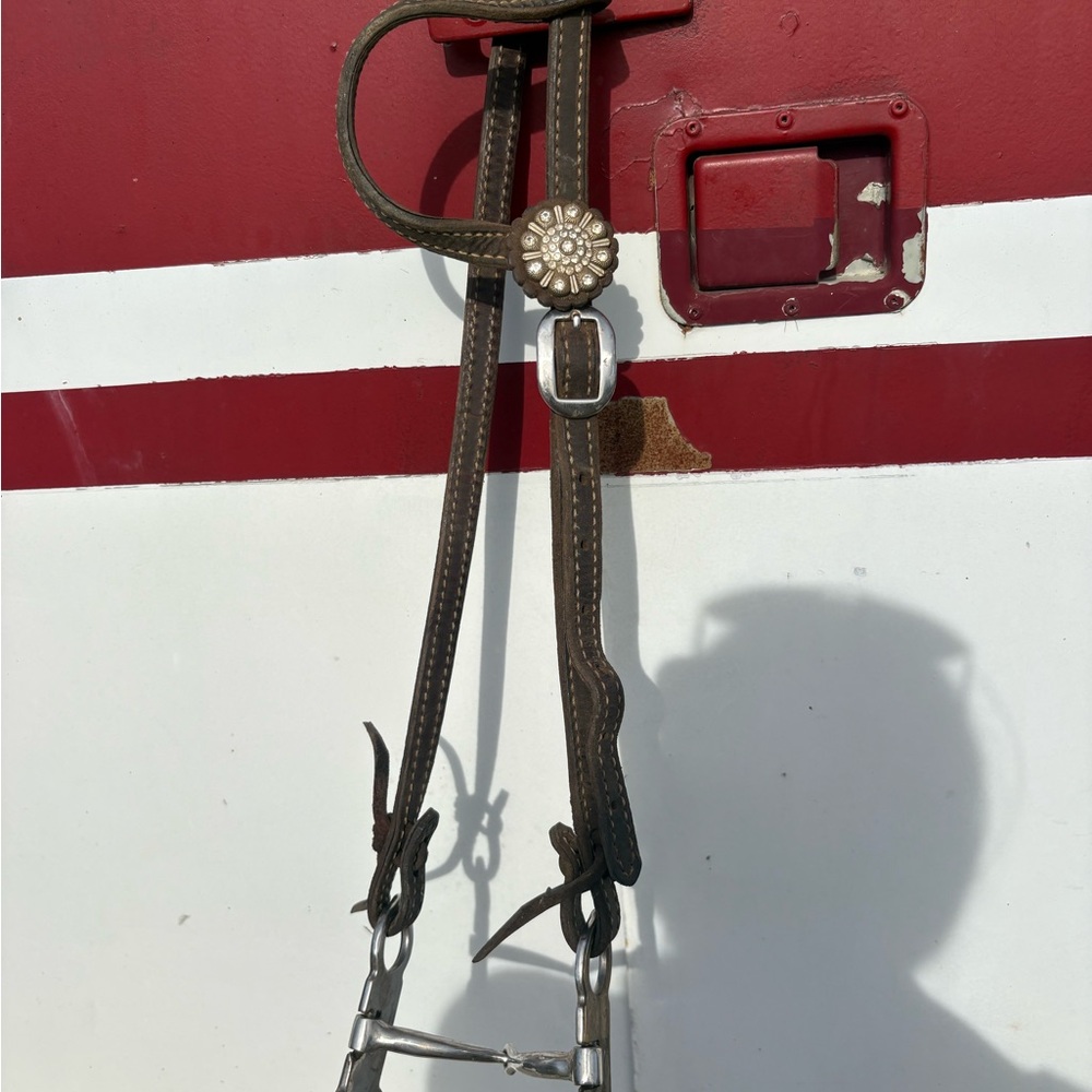 Brown Leather Horse Bridle with Silver Concho